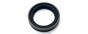 AL161384 / 4306806M1 - SEAL